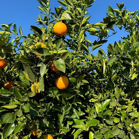 Finca Malata Turís Dış mekan fotoğraf
