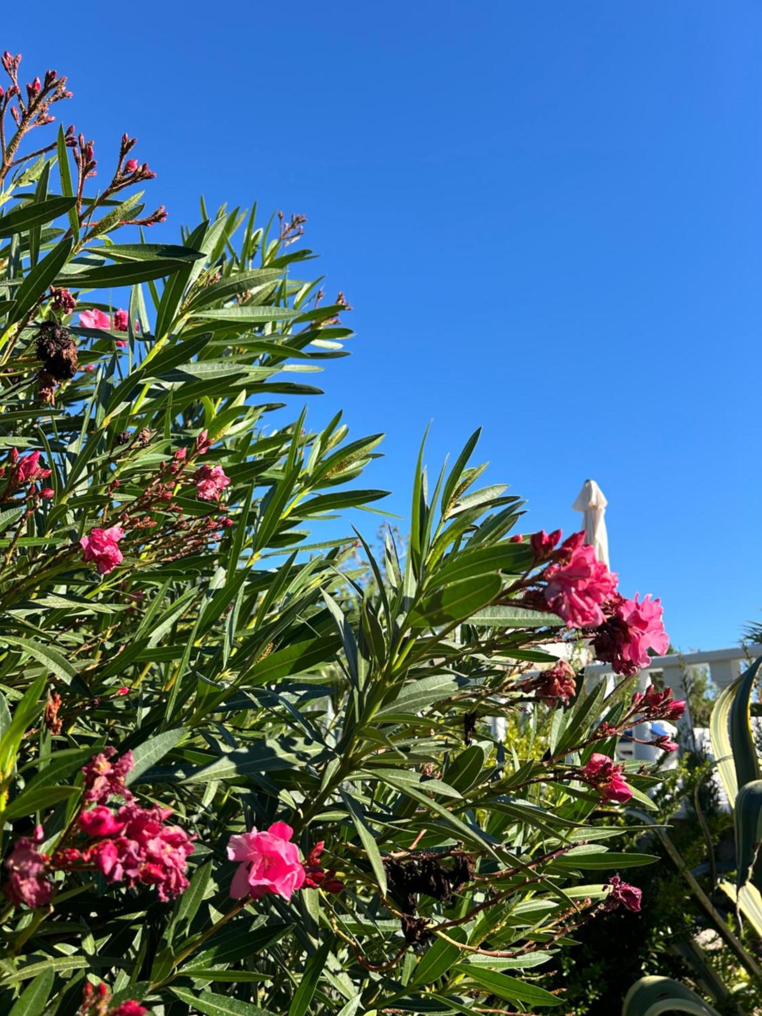 Finca Malata Turís Dış mekan fotoğraf