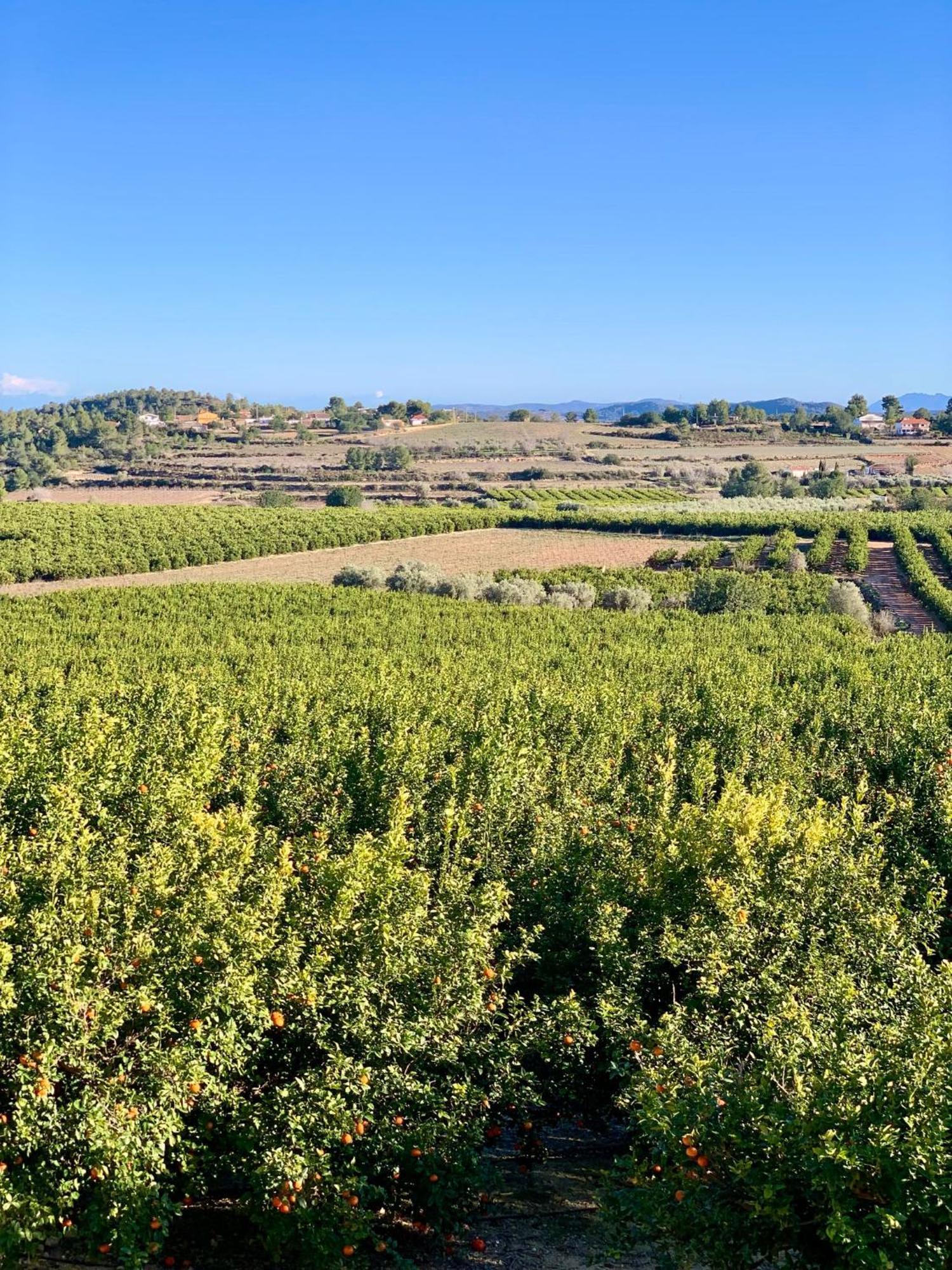 Finca Malata Turís Dış mekan fotoğraf